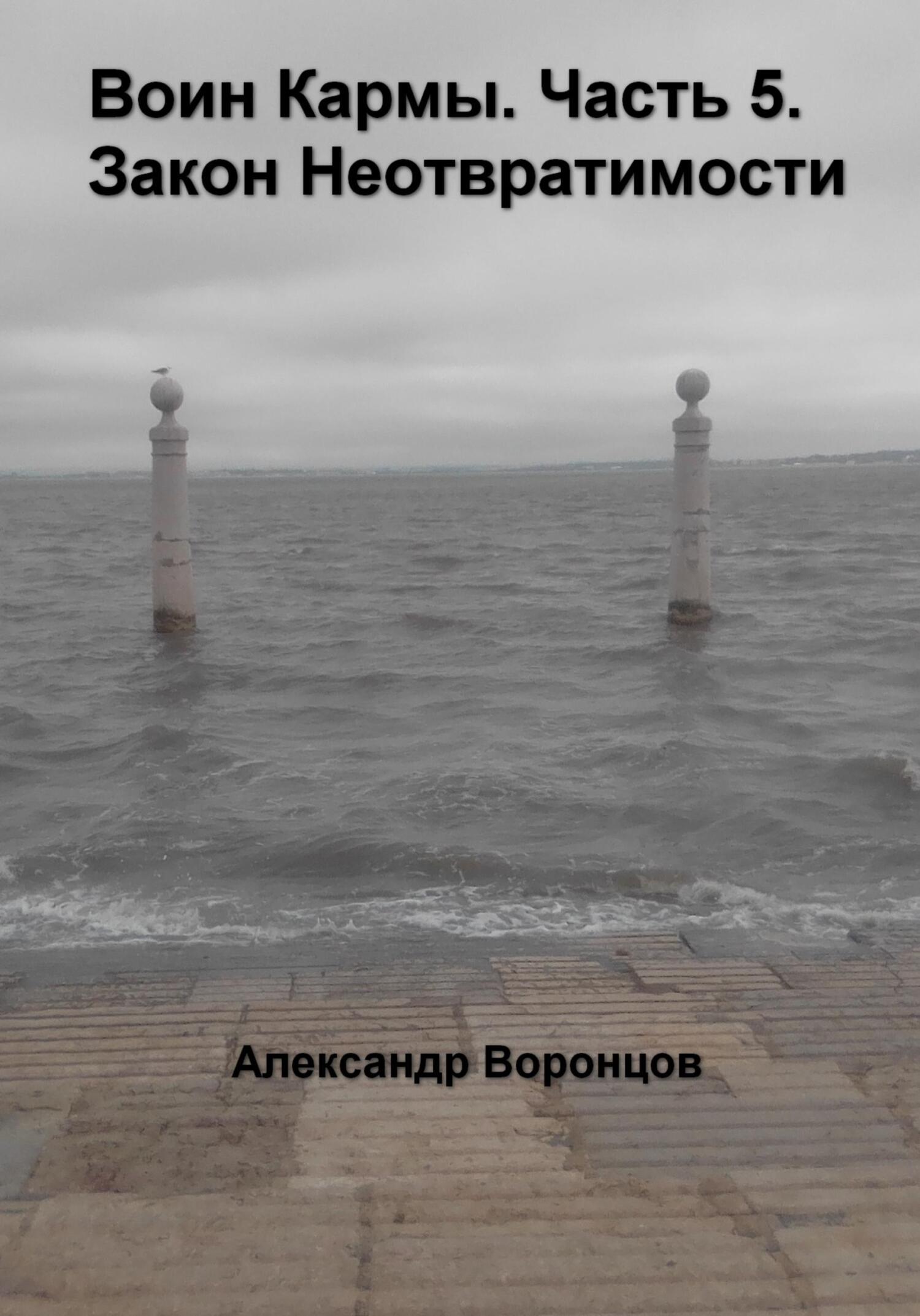 читать Воин Кармы. Часть 5. Закон Неотвратимости