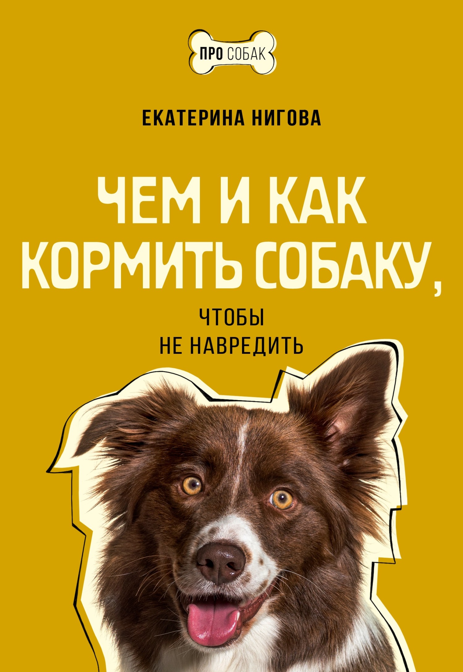 читать Чем и как кормить собаку, чтобы не навредить