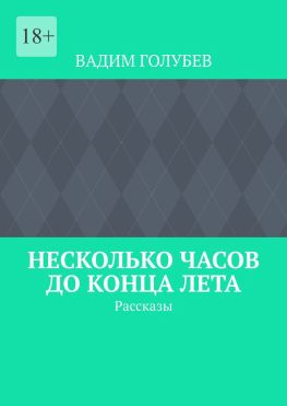 читать Несколько часов до конца лета. Рассказы