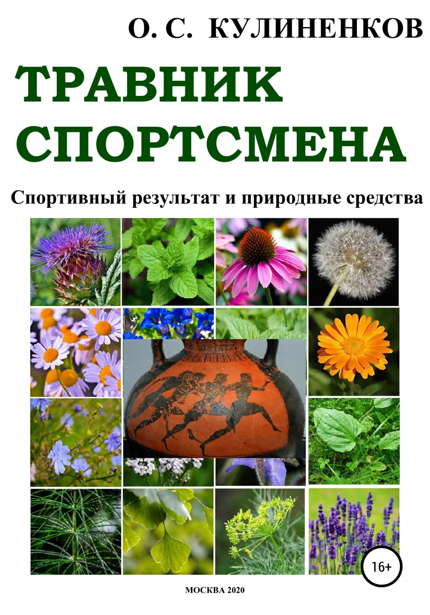 читать Травник спортсмена. Спортивный результат и природные средства