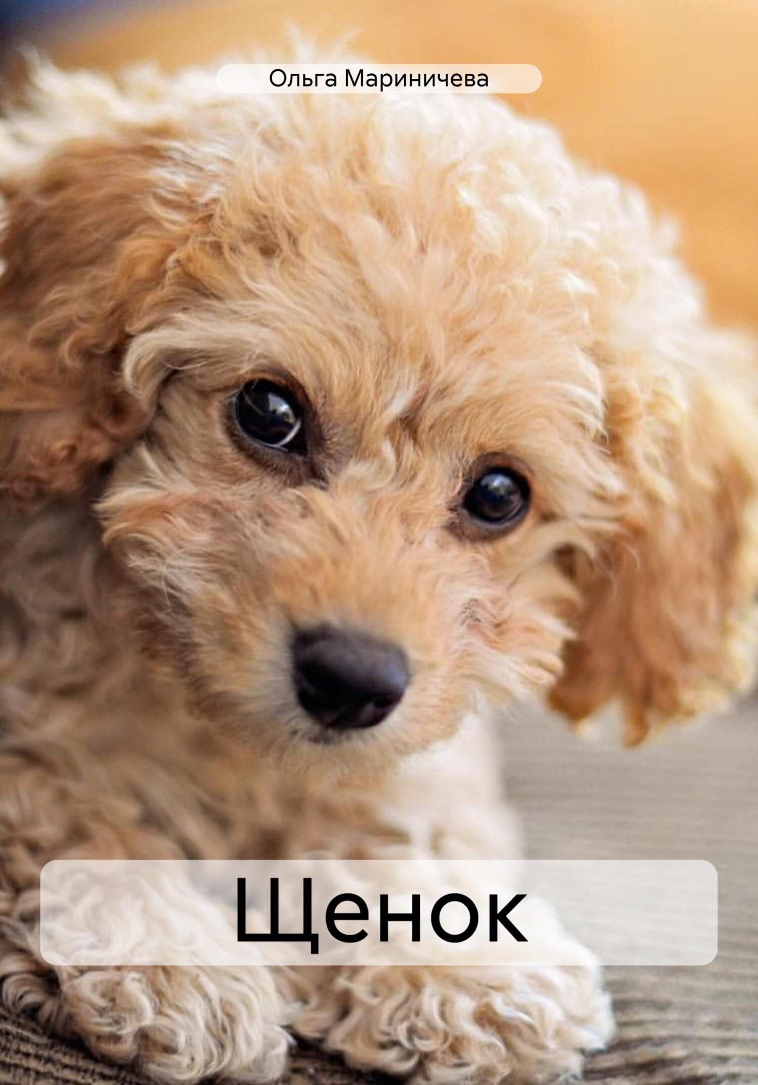 читать Щенок