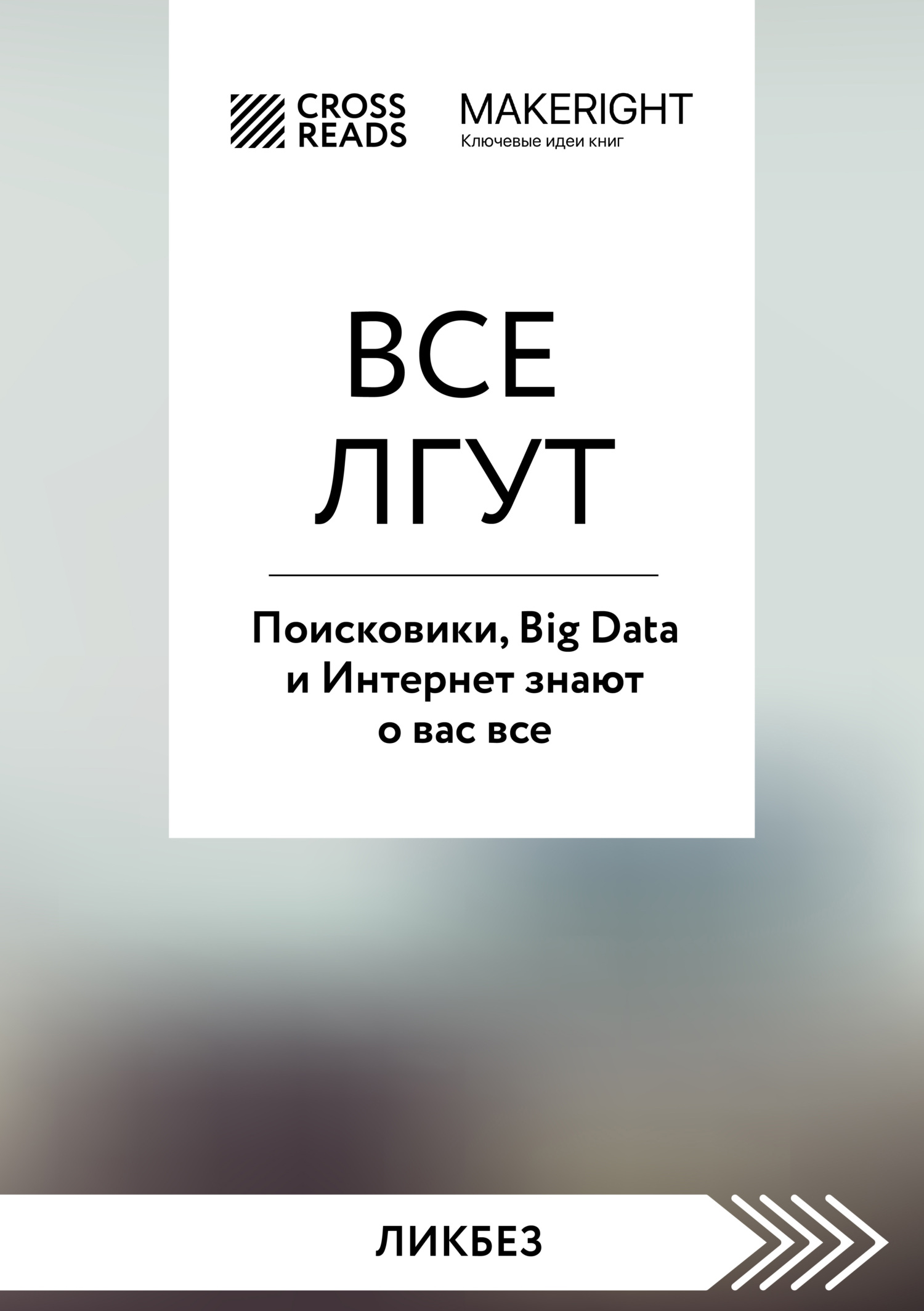читать Саммари книги «Все лгут. Поисковики, Big Data и Интернет знают о вас все»