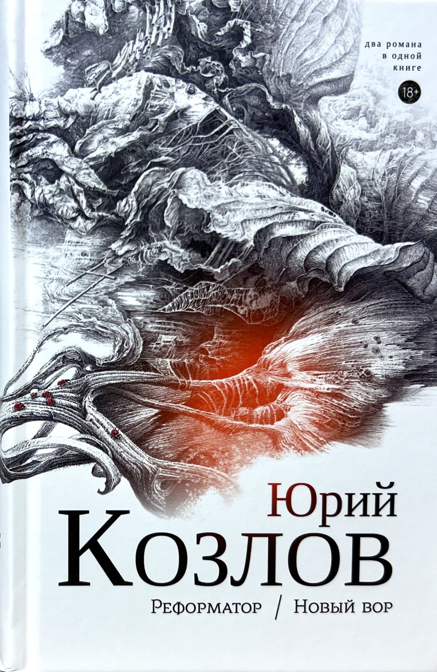 читать Реформатор. Новый вор. Том 2.