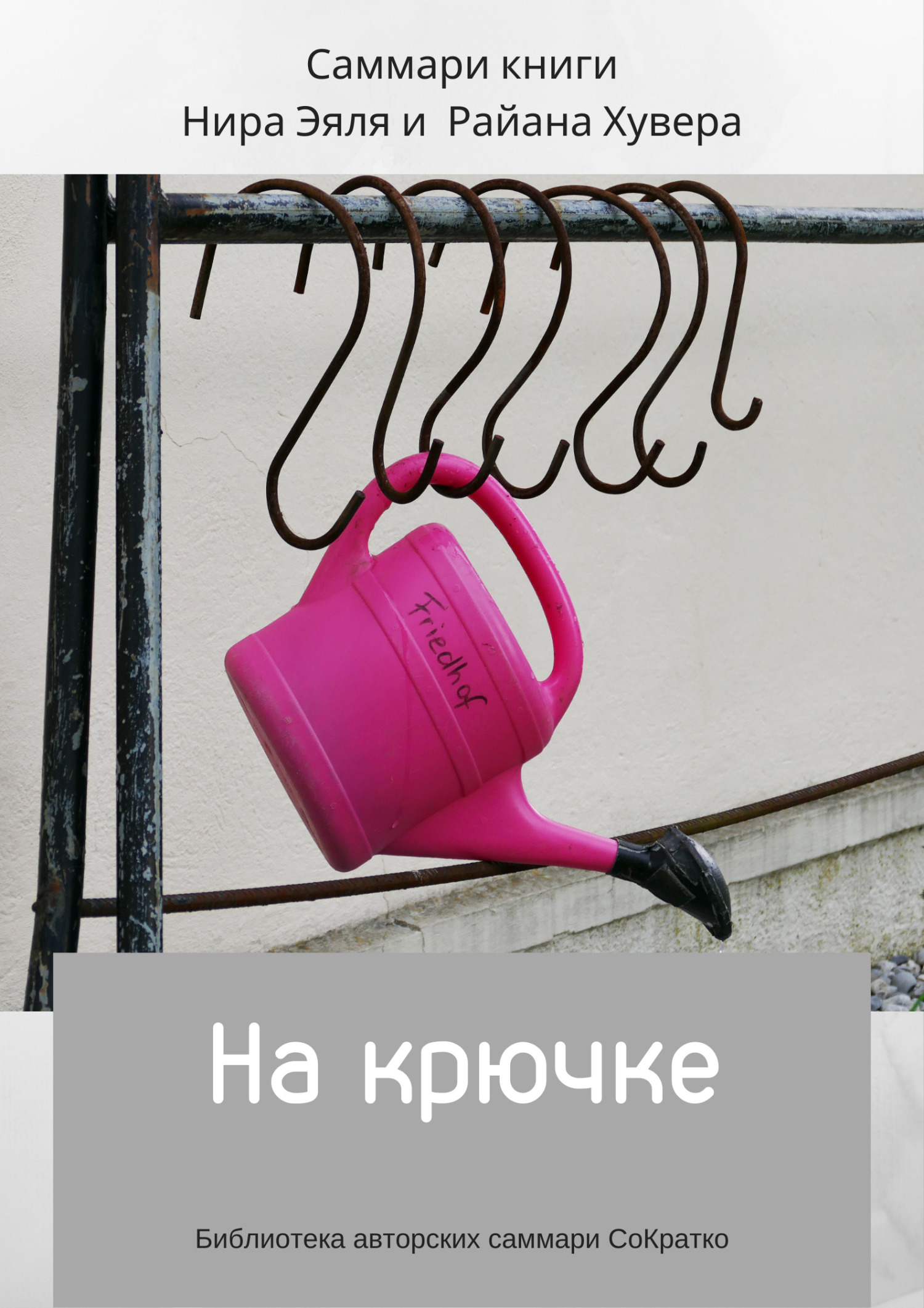читать Саммари книги Нира Эяль и Райана Хувера «На крючке»