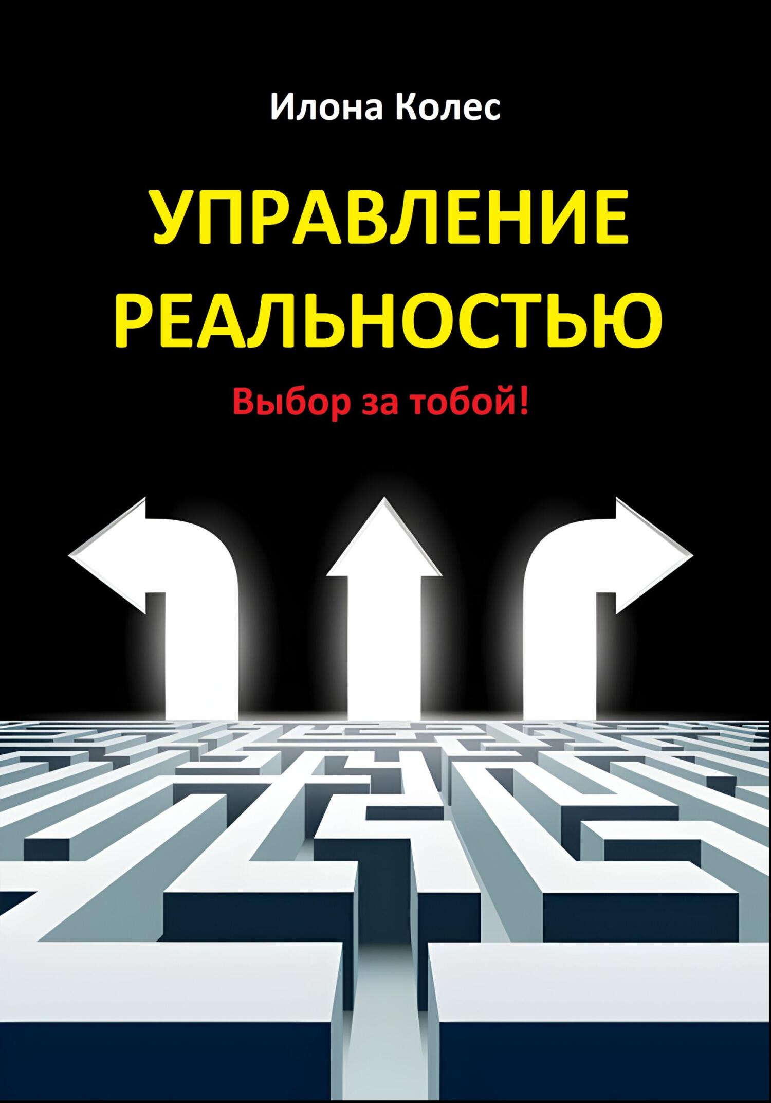 читать Управление реальностью. Выбор за тобой!