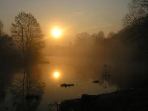 читать Варвара. Прошедшая сквозь туман.