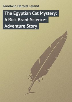 читать The Egyptian Cat Mystery: A Rick Brant Science-Adventure Story