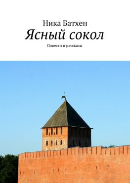 читать Ясный сокол. Повести и рассказы