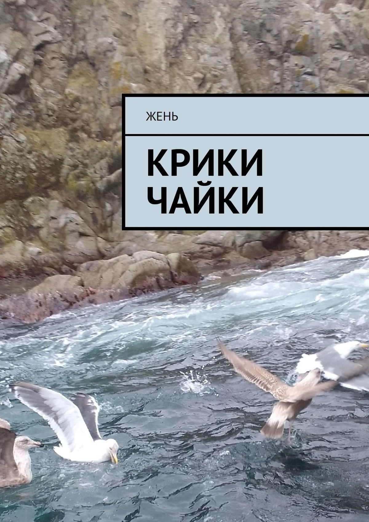 читать Крики чайки