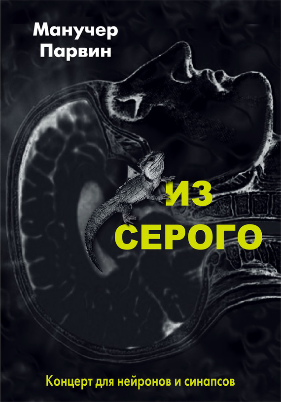 читать Из серого. Концерт для нейронов и синапсов