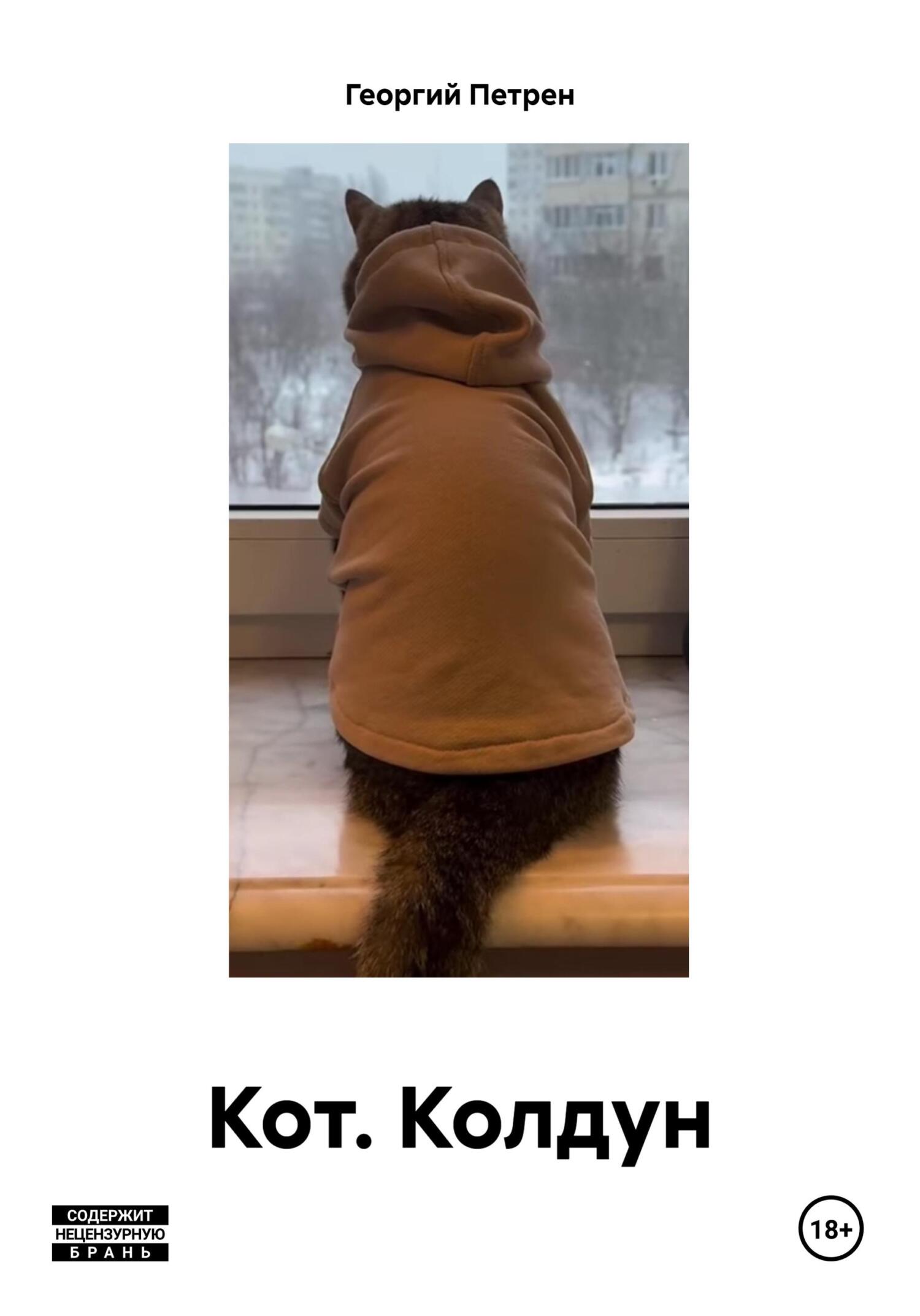 читать Кот. Колдун