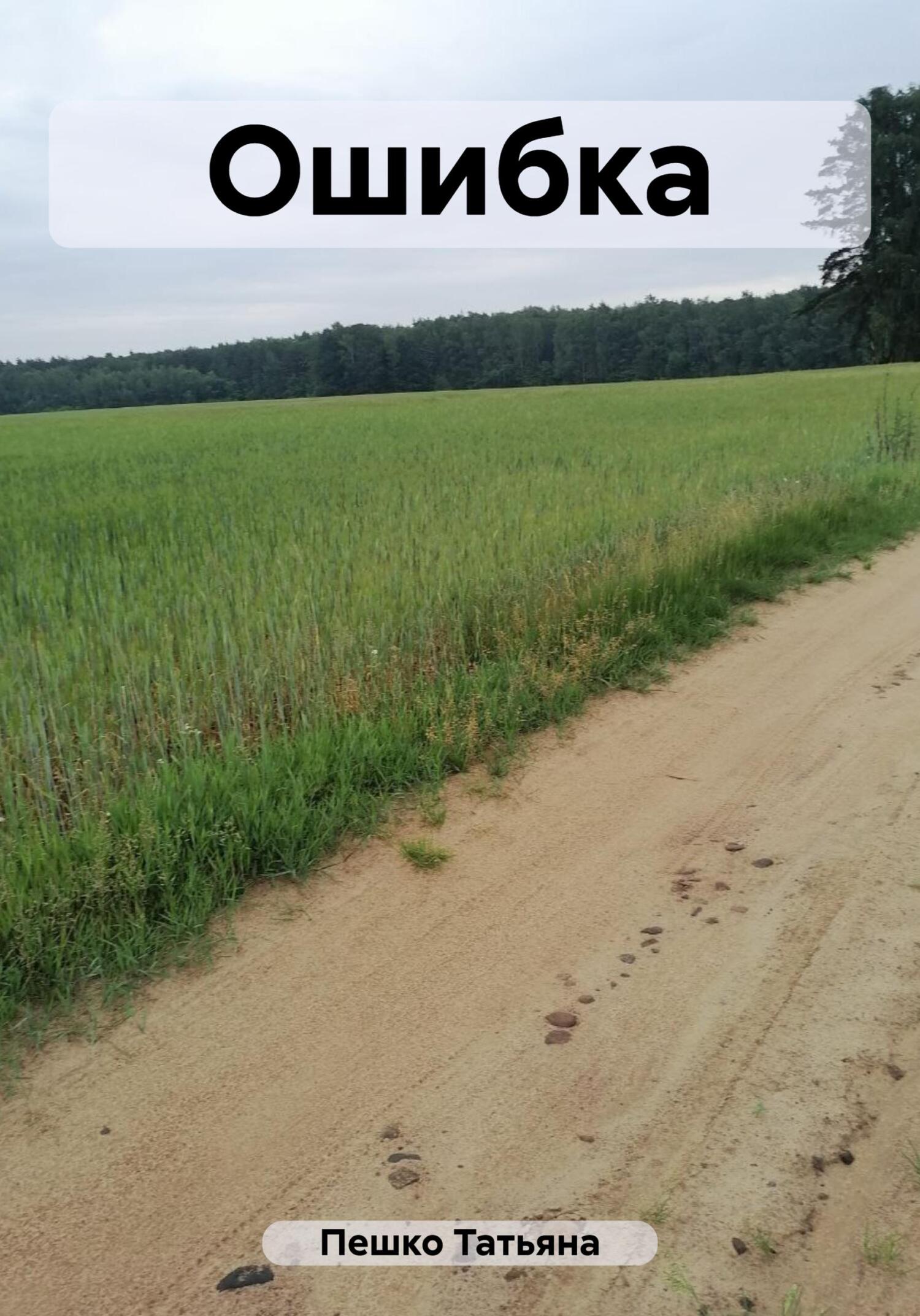 читать Ошибка