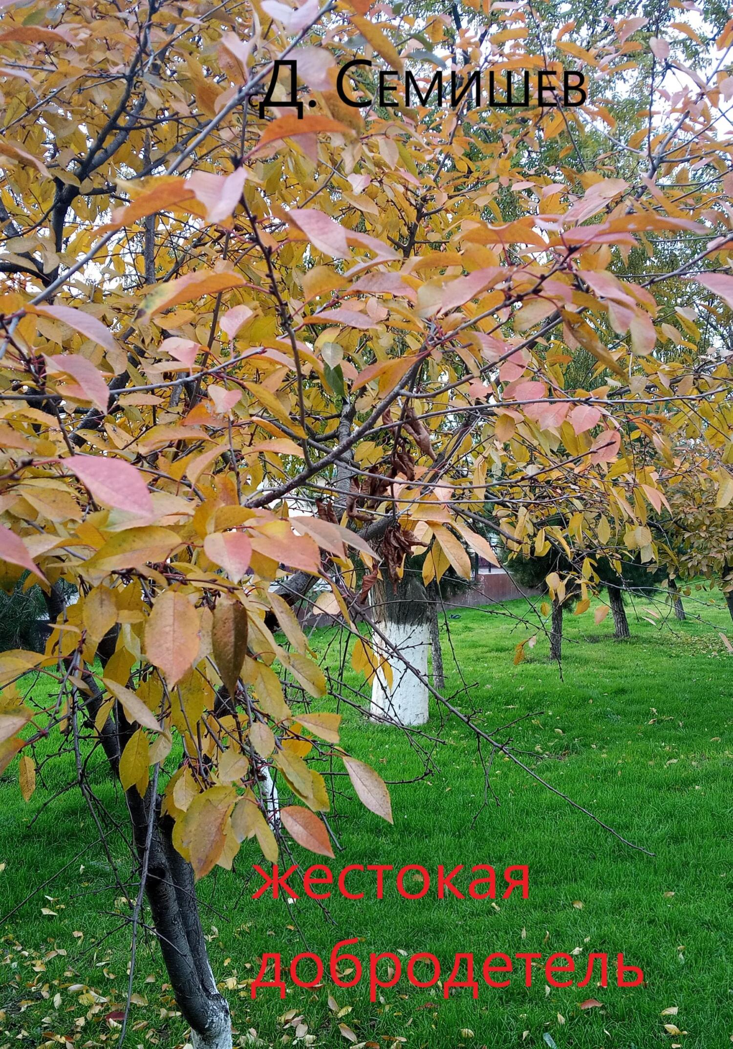 читать Жестокая добродетель