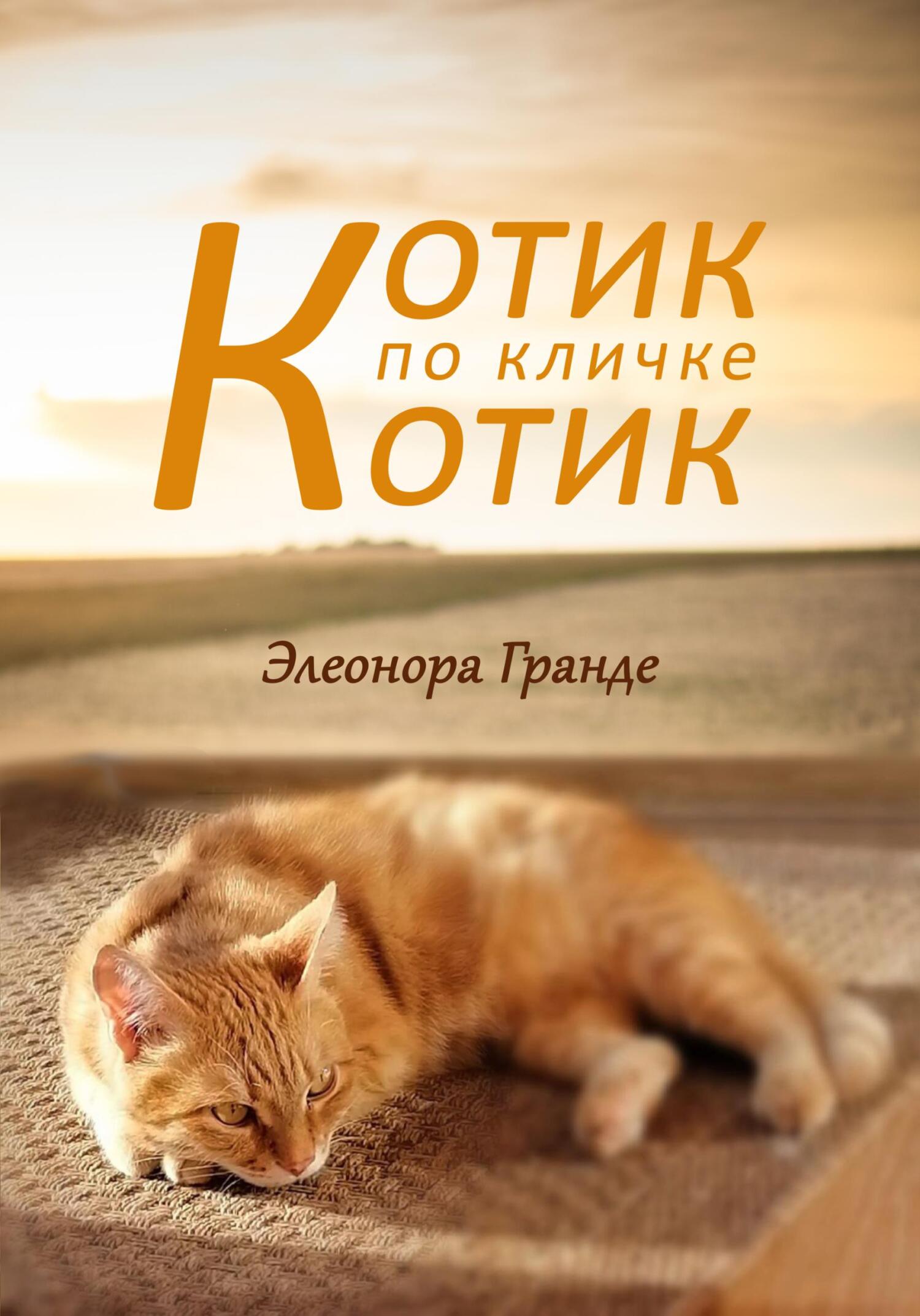 читать Котик по кличке Котик