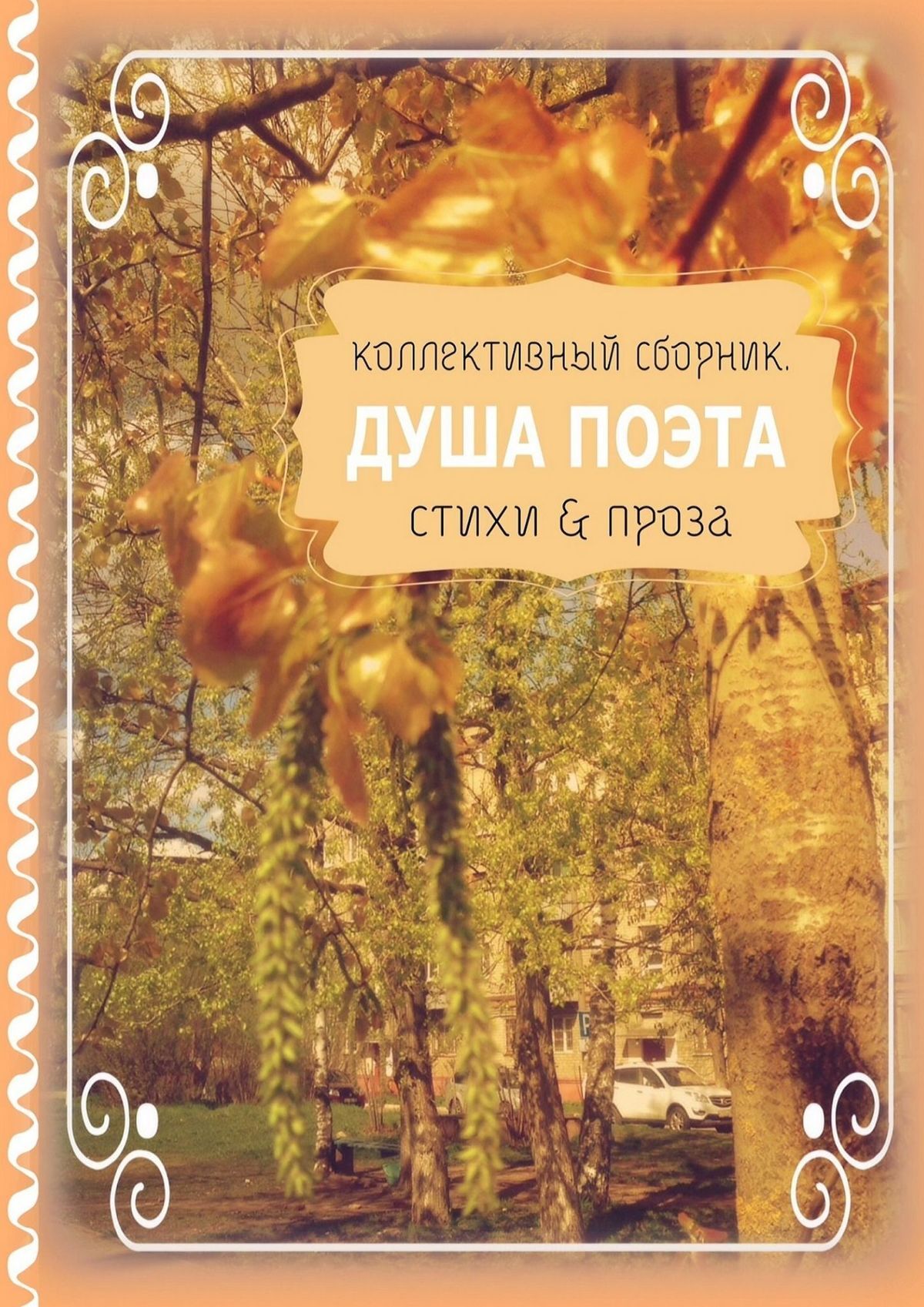 читать Душа поэта. Стихи & проза