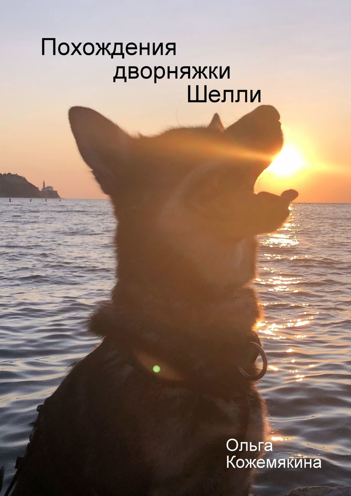 читать Похождения дворняжки Шелли