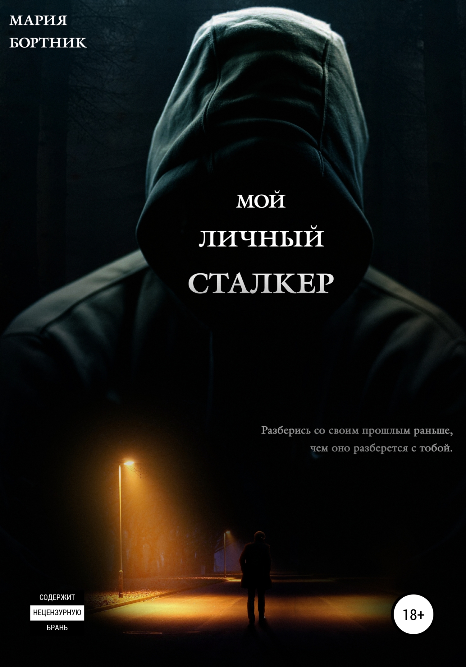 читать Мой личный сталкер