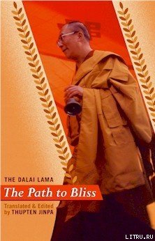 читать Путь блаженства: практическое руководство по стадиям медитации
