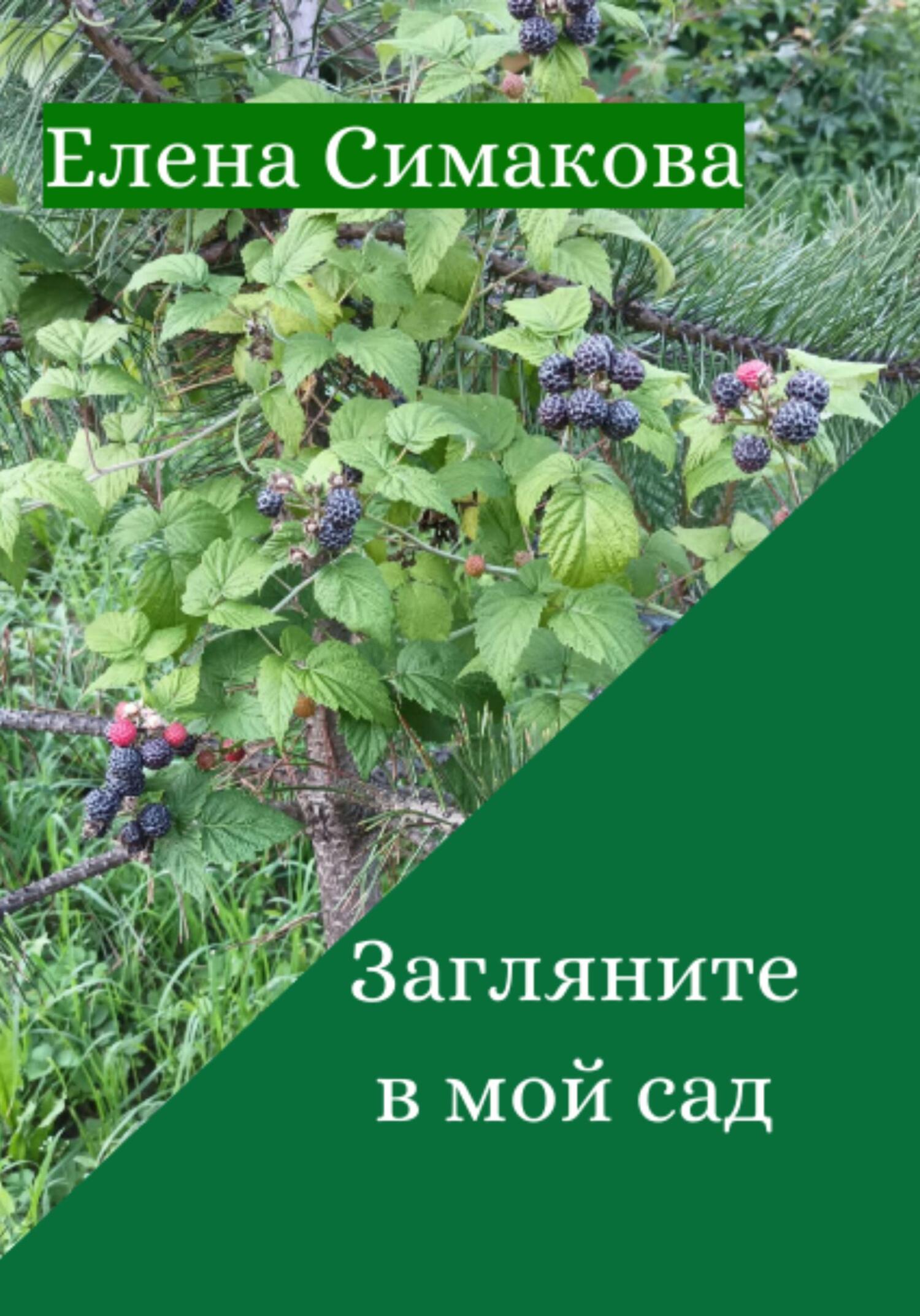 читать Загляните в мой сад