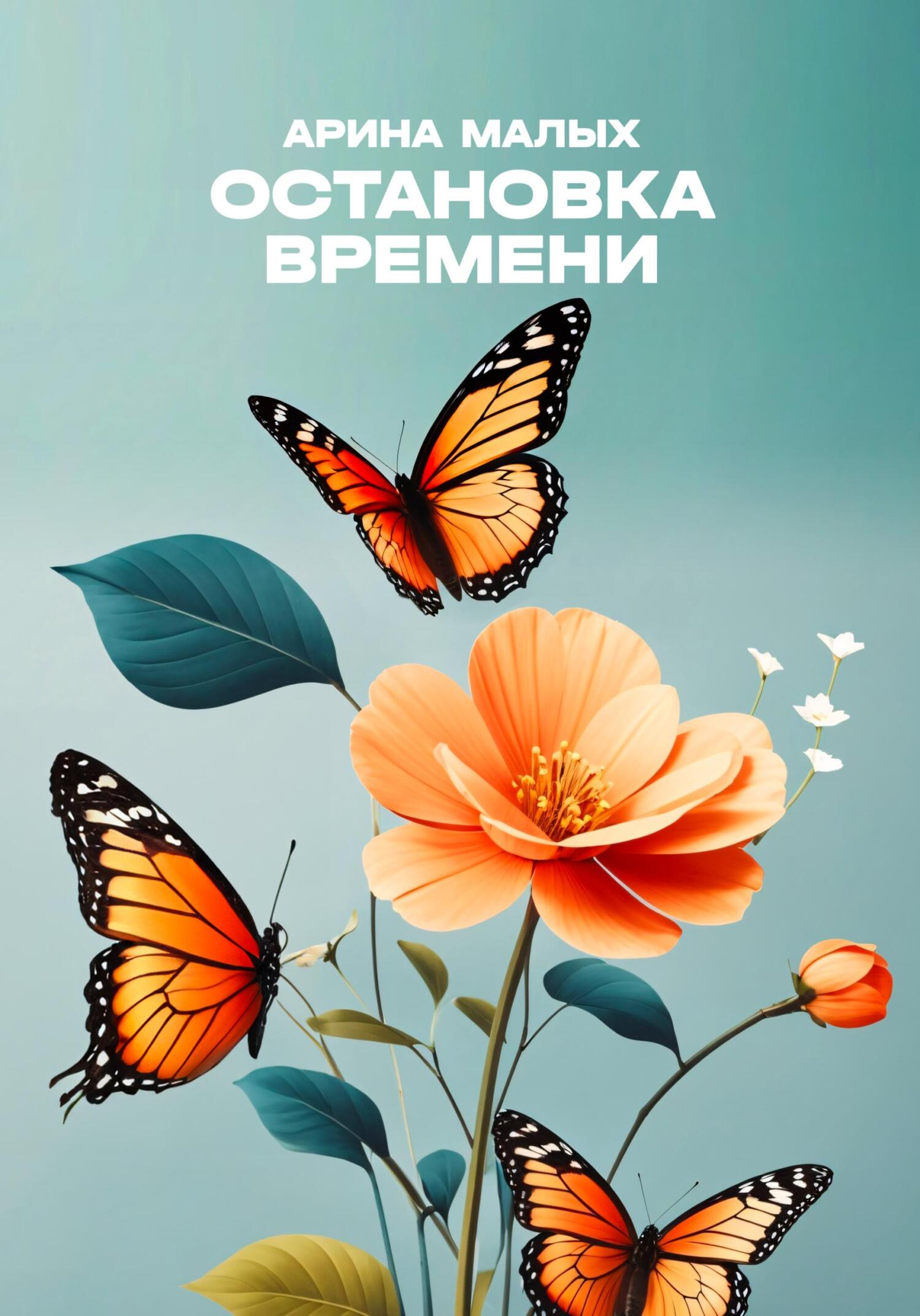 читать Остановка времени