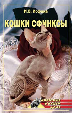 читать Кошки – сфинксы