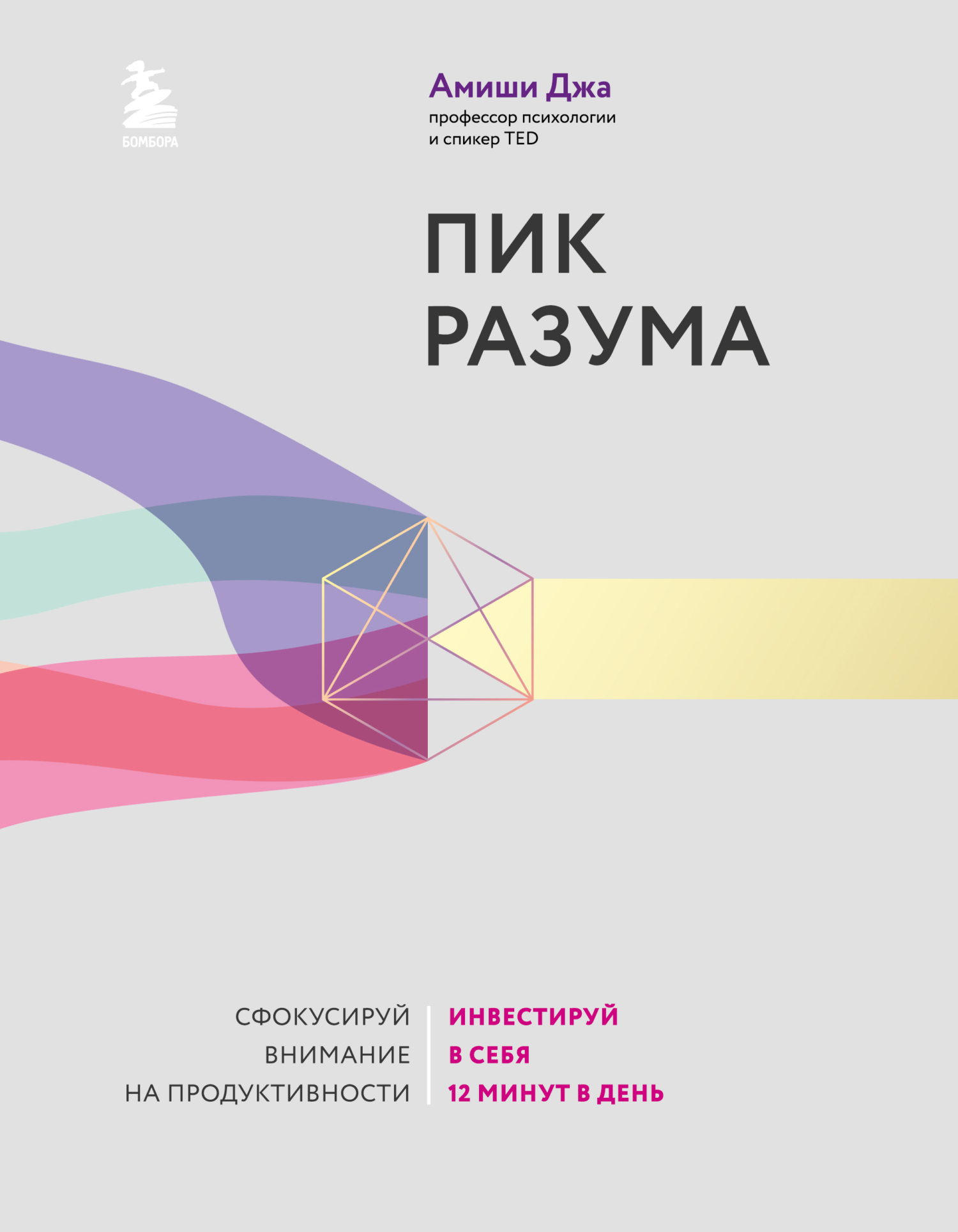 читать Пик разума. Сфокусируй внимание на продуктивности. Инвестируй в себя 12 минут в день