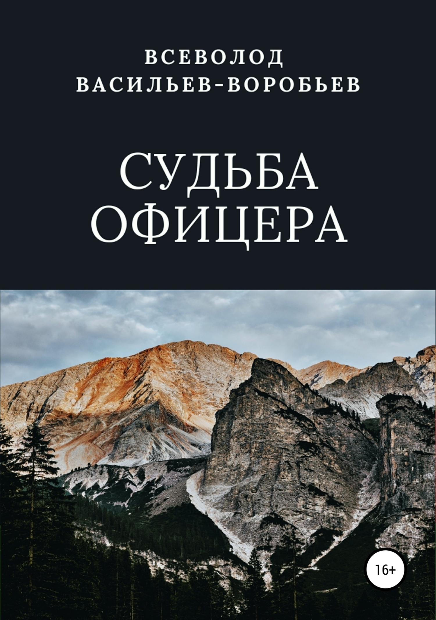 читать Судьба офицера