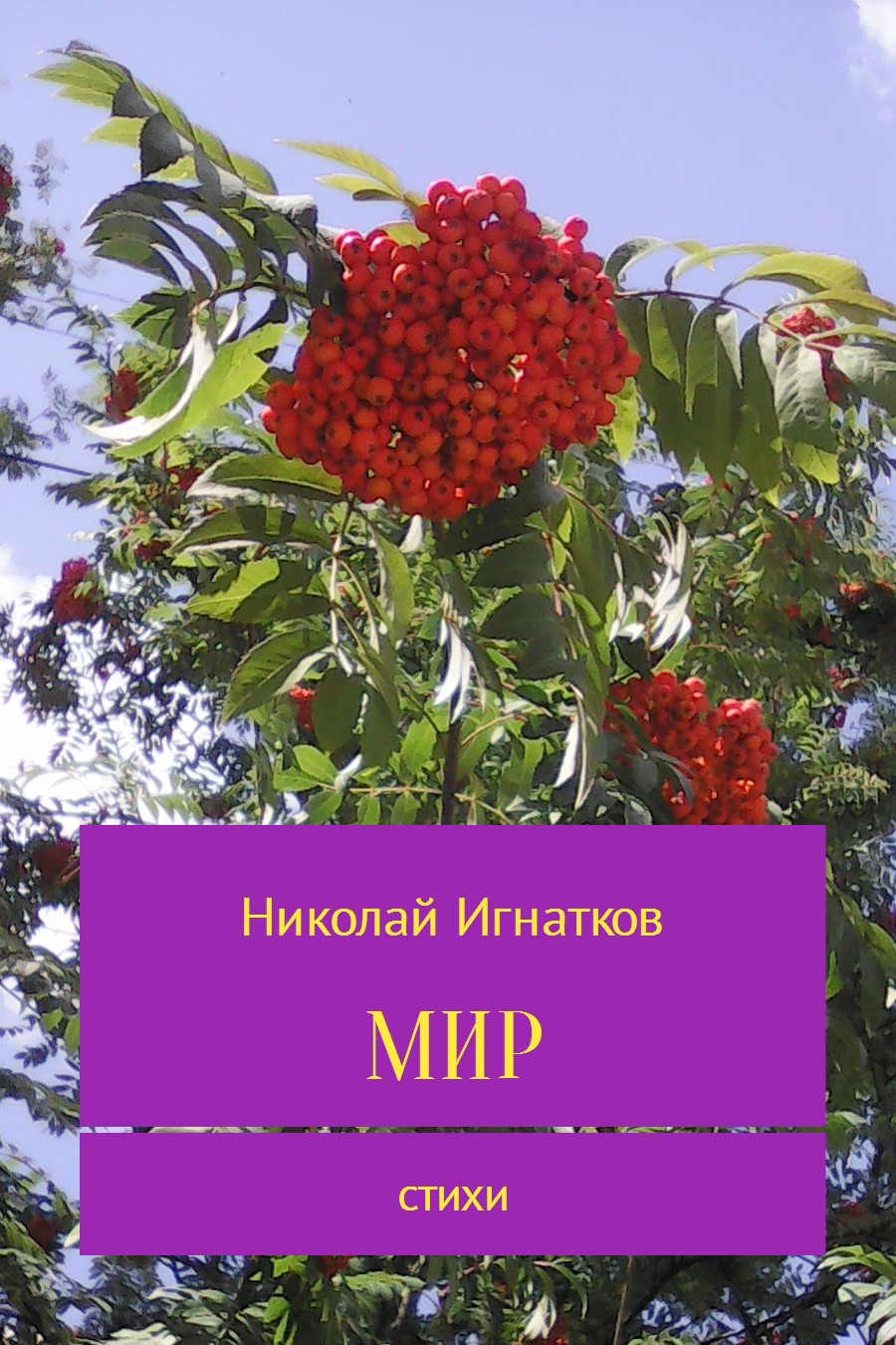 читать Мир