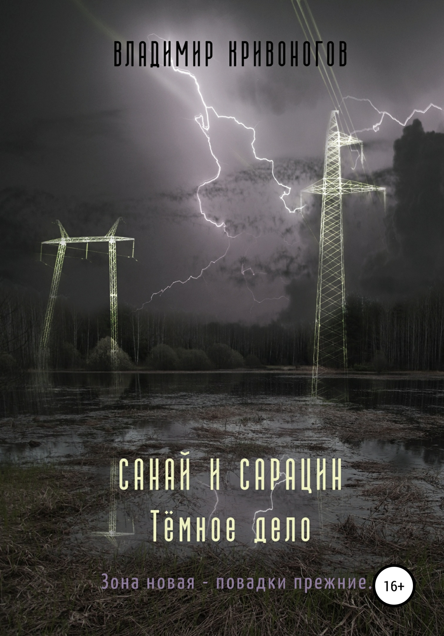 читать Санай и Сарацин. Темное дело