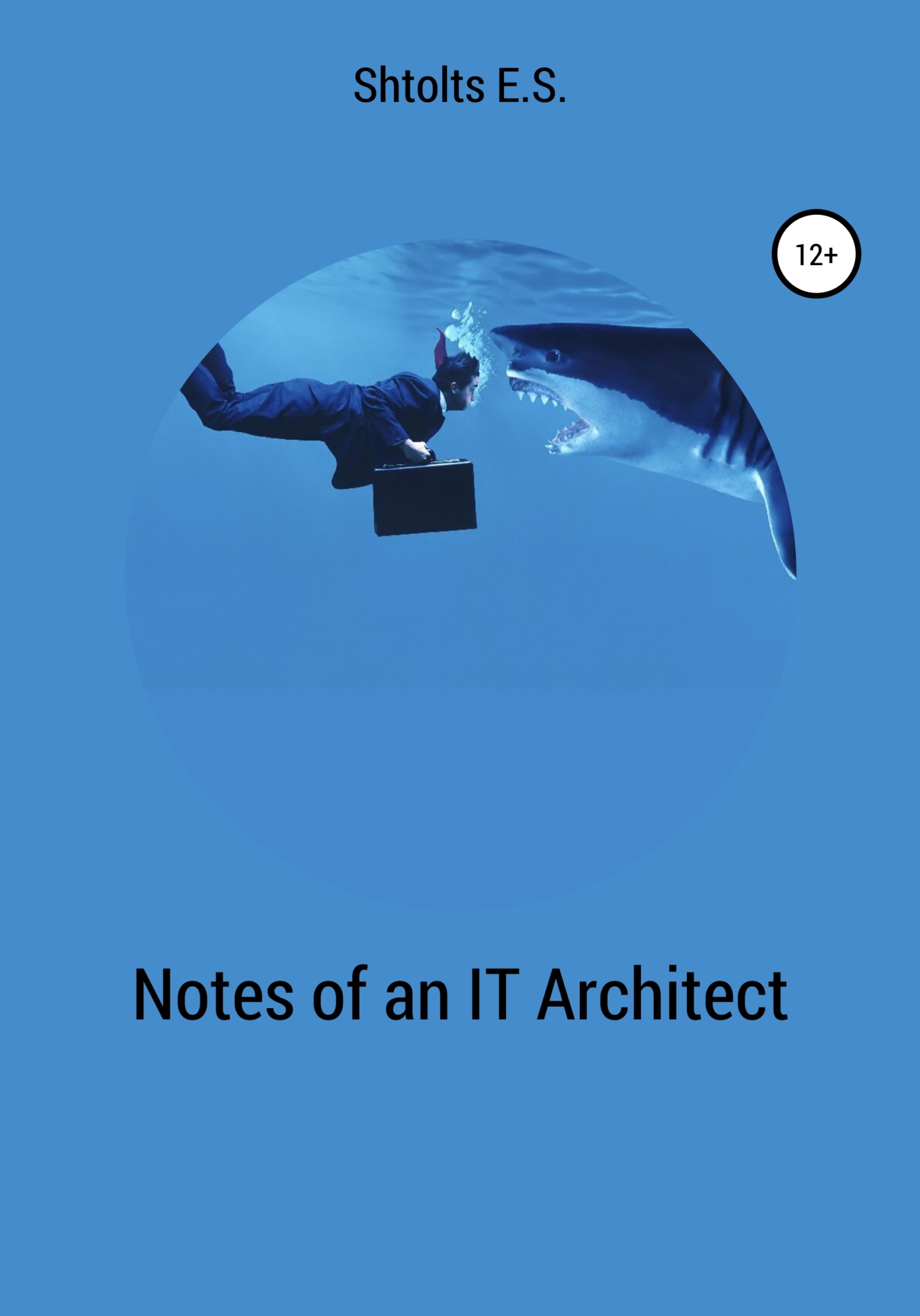 читать Notes of an IT Architect