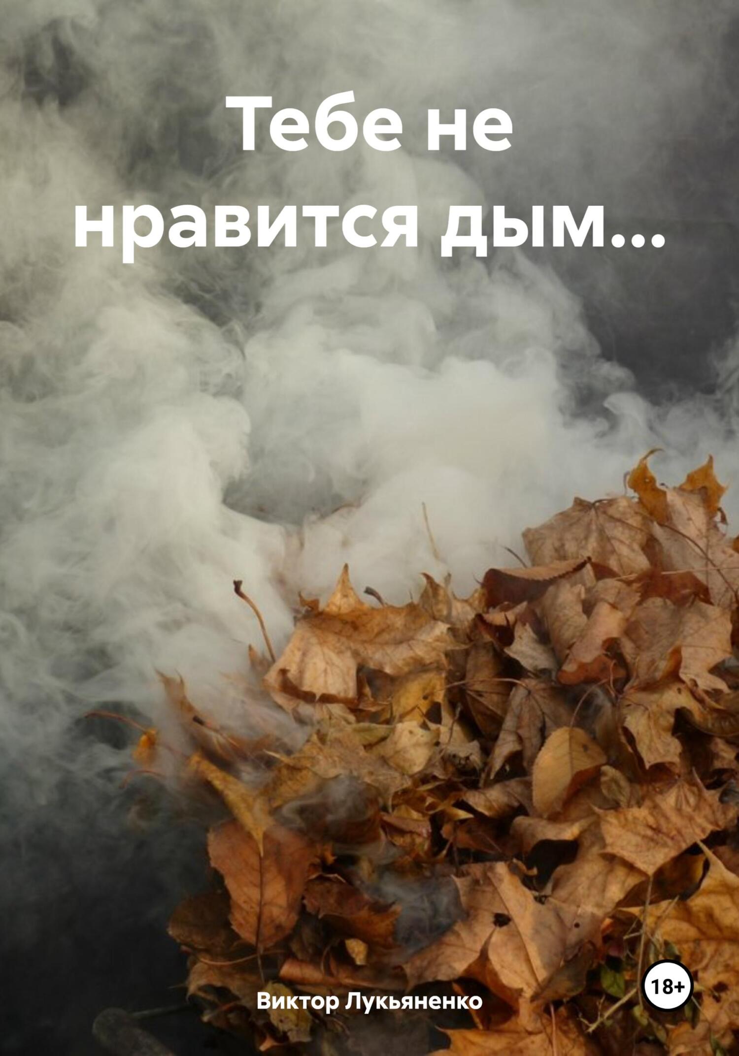 читать Тебе не нравится дым…