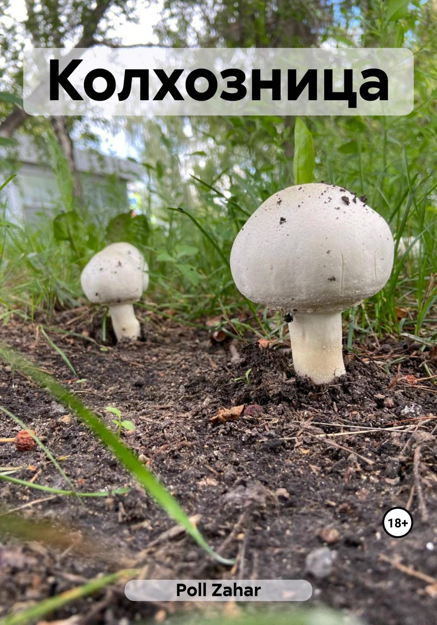 читать Колхозница