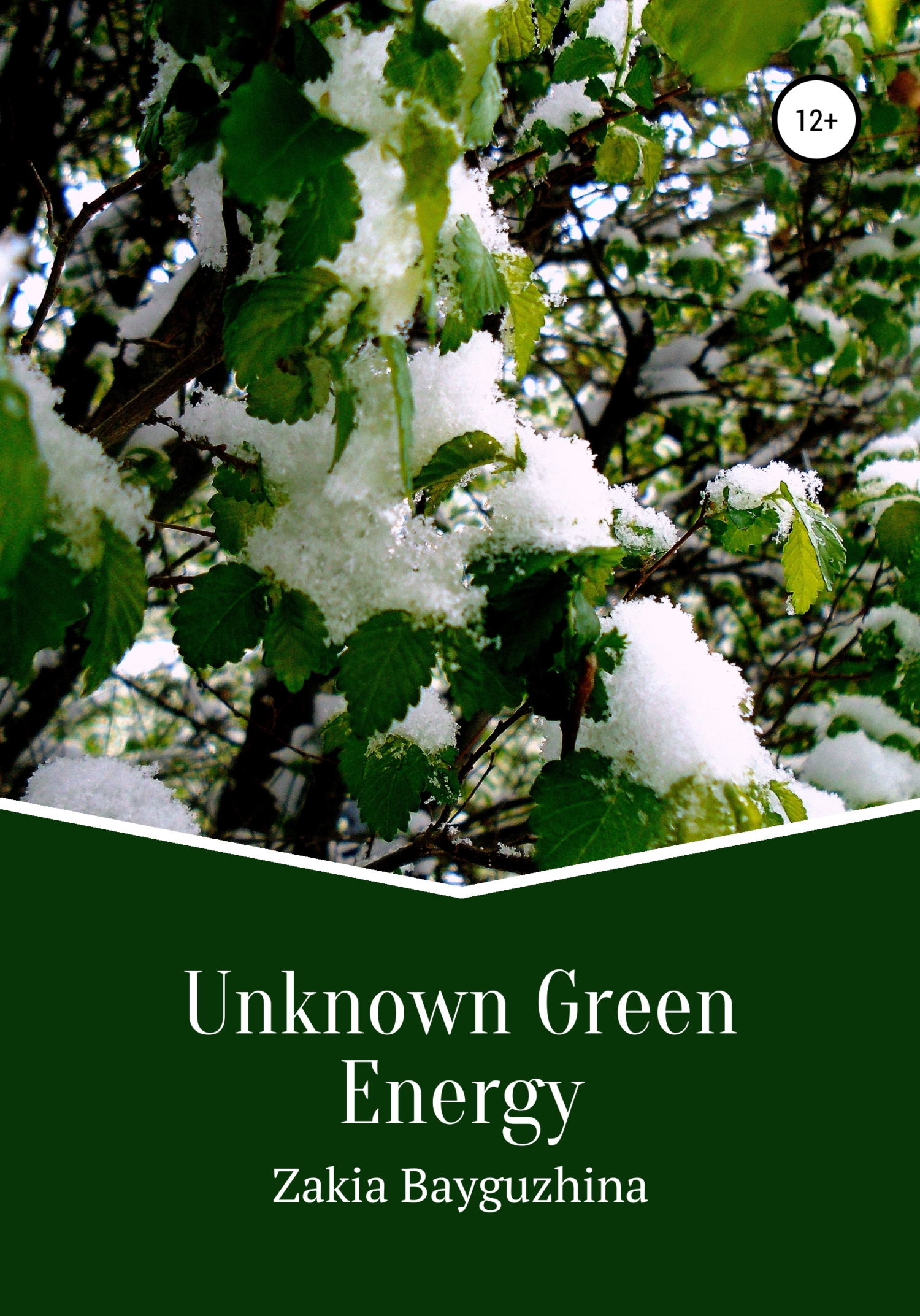 читать Unknown Green Energy