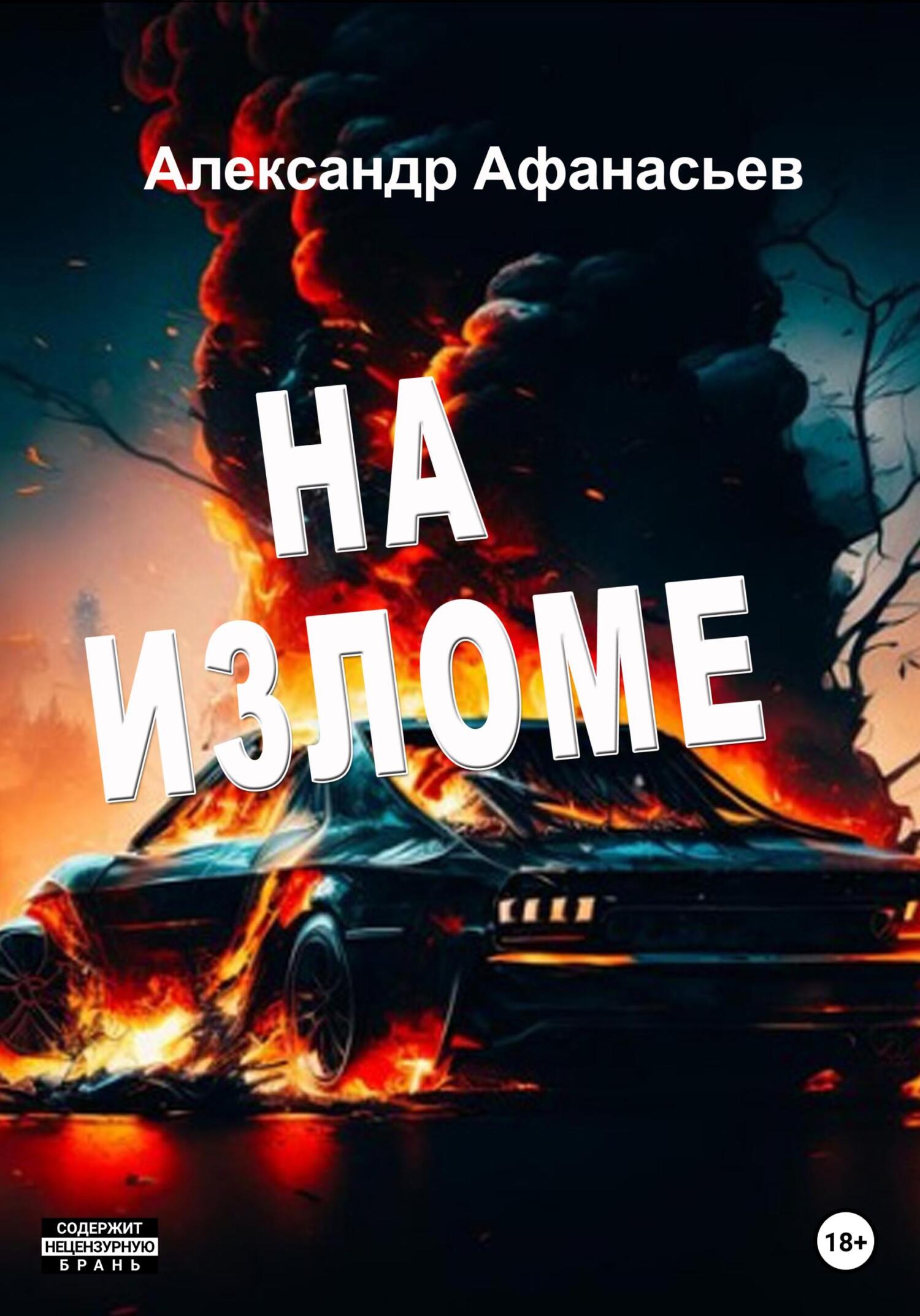 читать На изломе