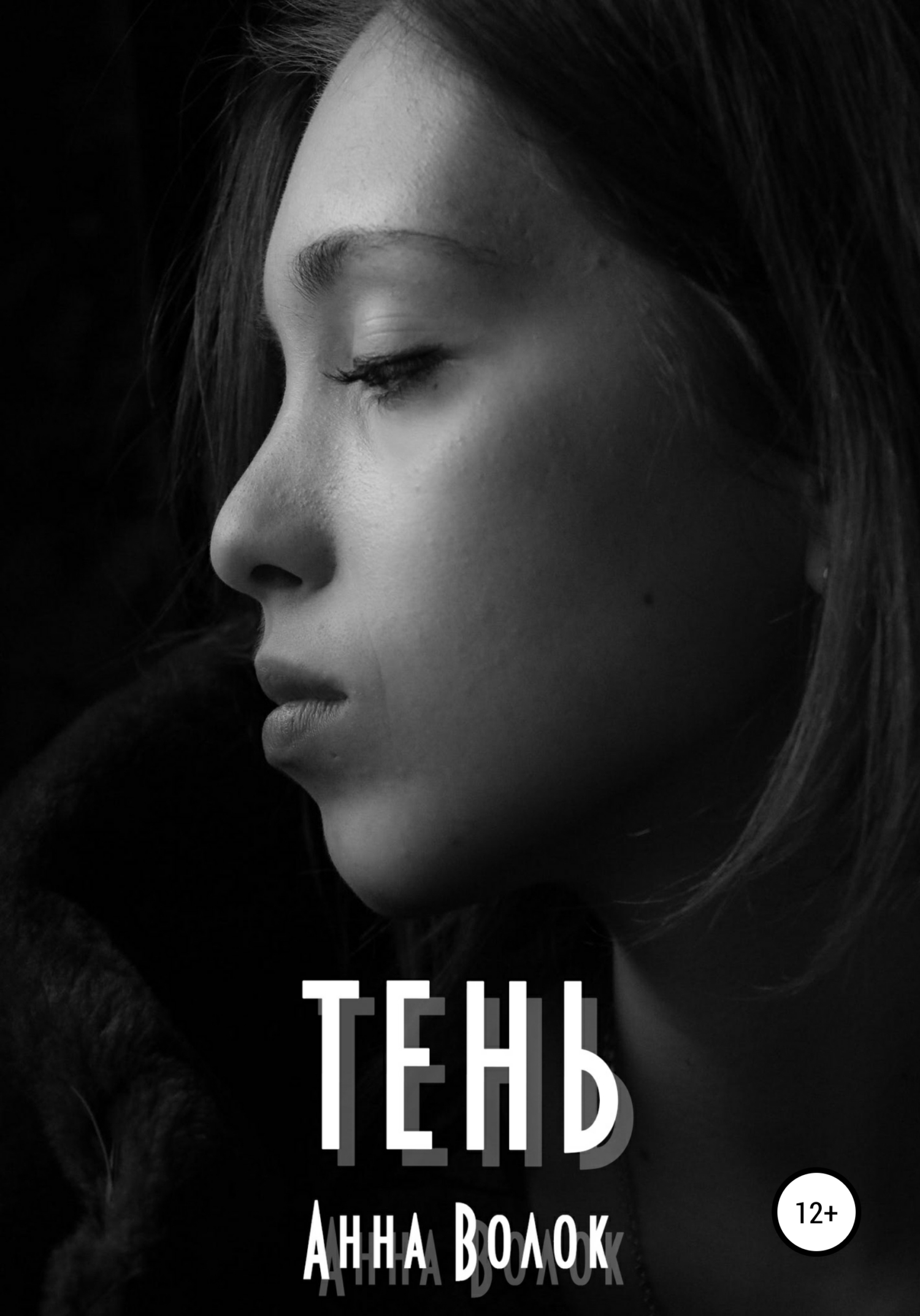 читать Тень
