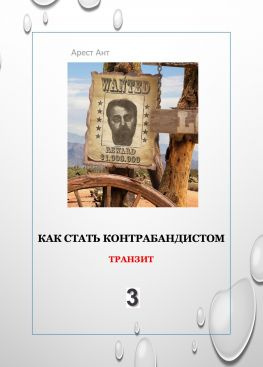 читать Как стать контрабандистом 3. Транзит