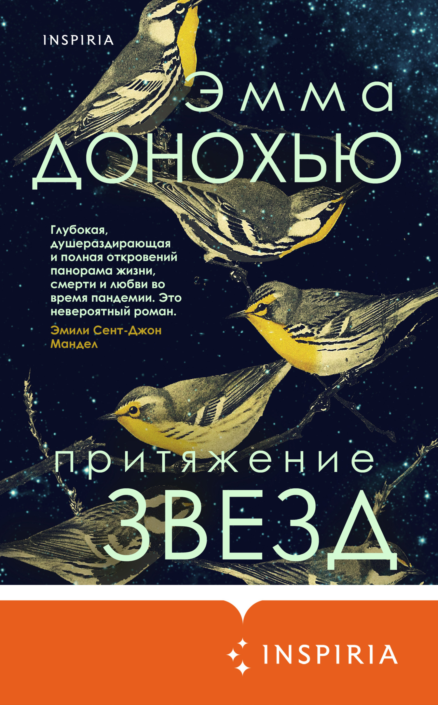 читать Притяжение звезд
