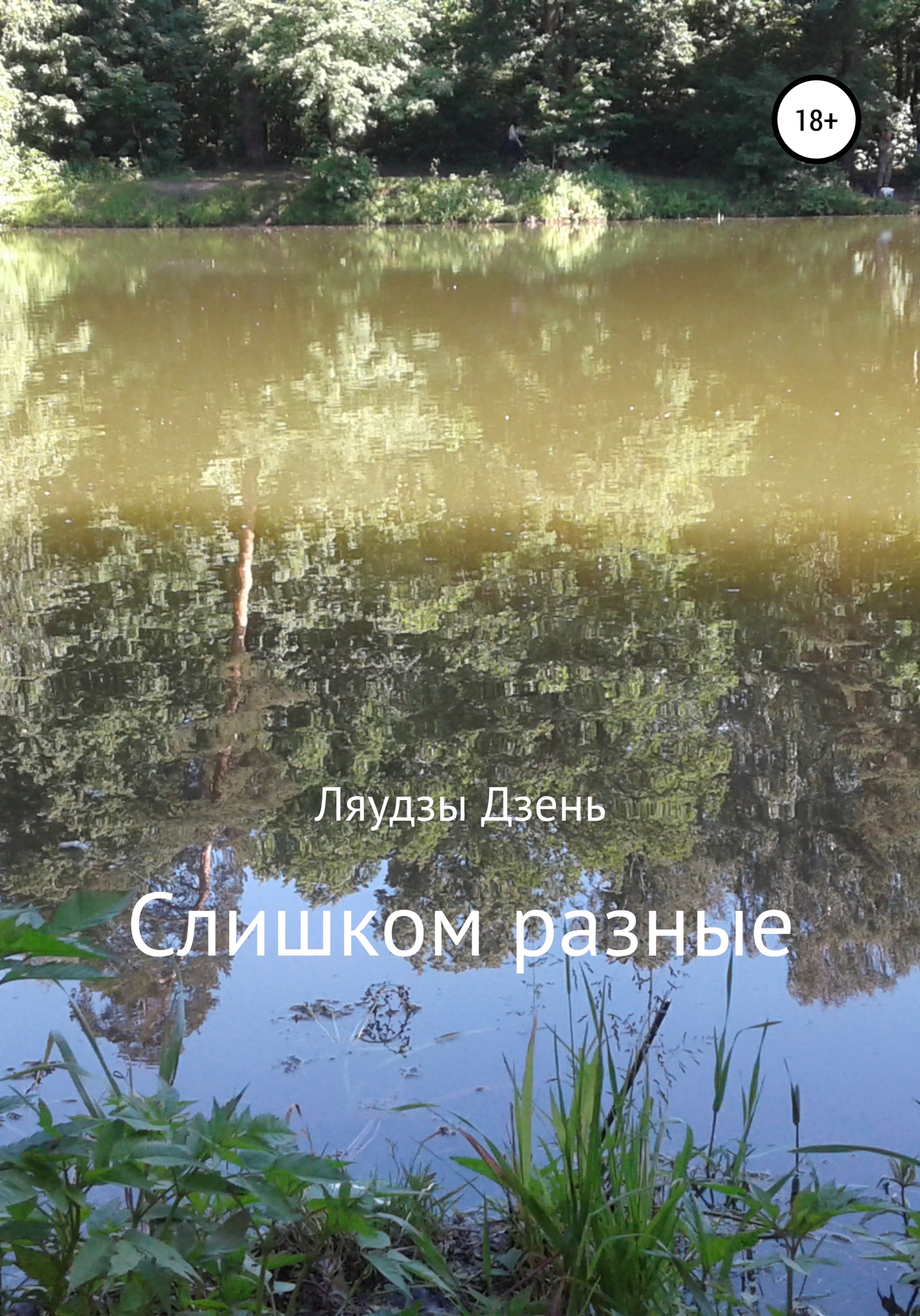 читать Слишком разные