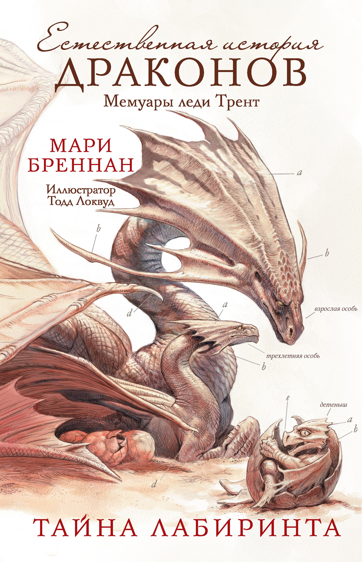 читать Мемуары леди Трент: Тайна Лабиринта