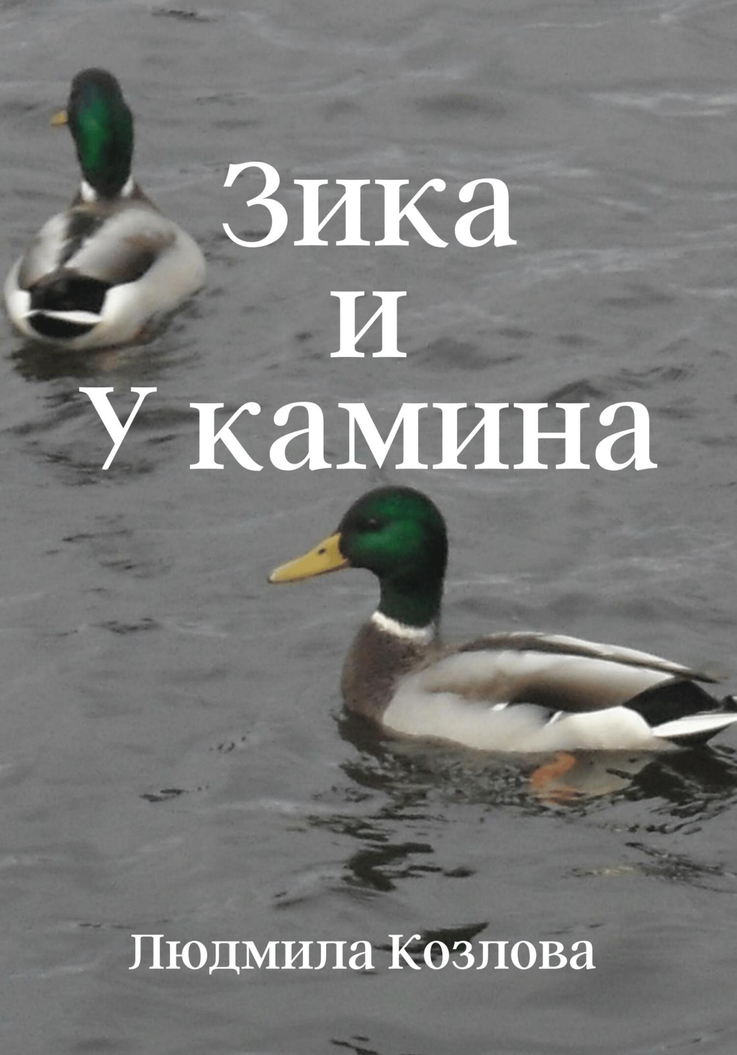 читать Зика и У камина