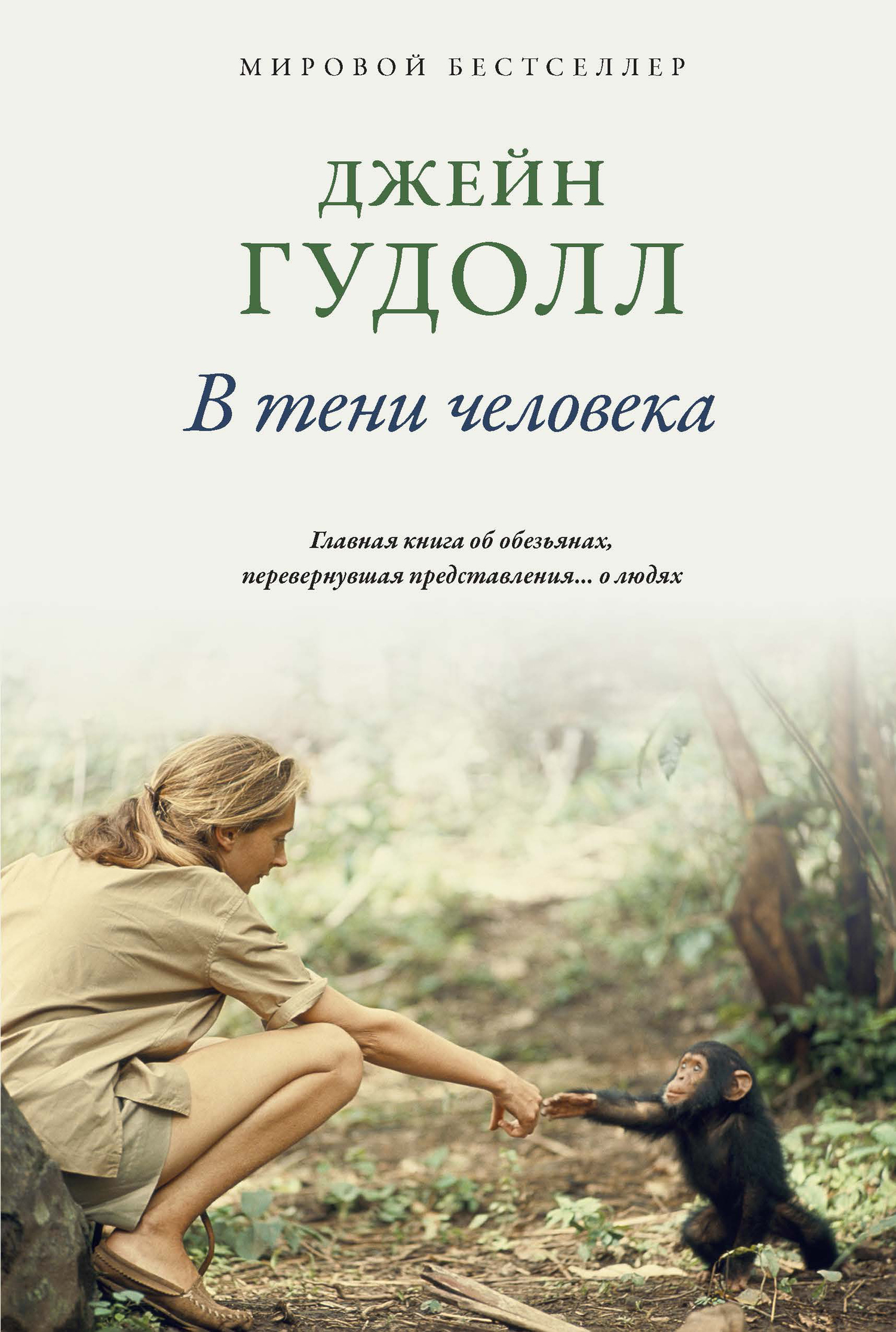 читать В тени человека