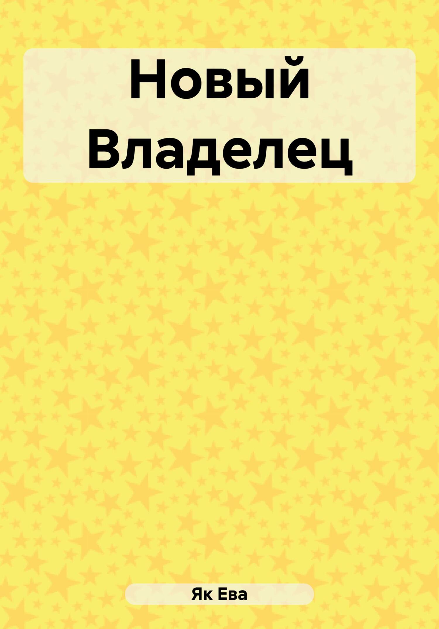 читать Новый Владелец