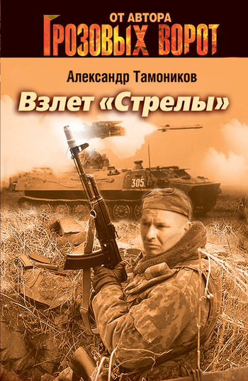 читать Взлет «Стрелы»