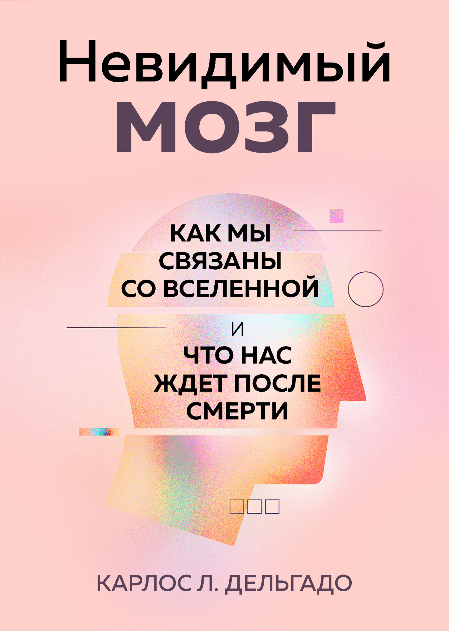 читать Невидимый мозг. Как мы связаны со Вселенной и что нас ждет после смерти