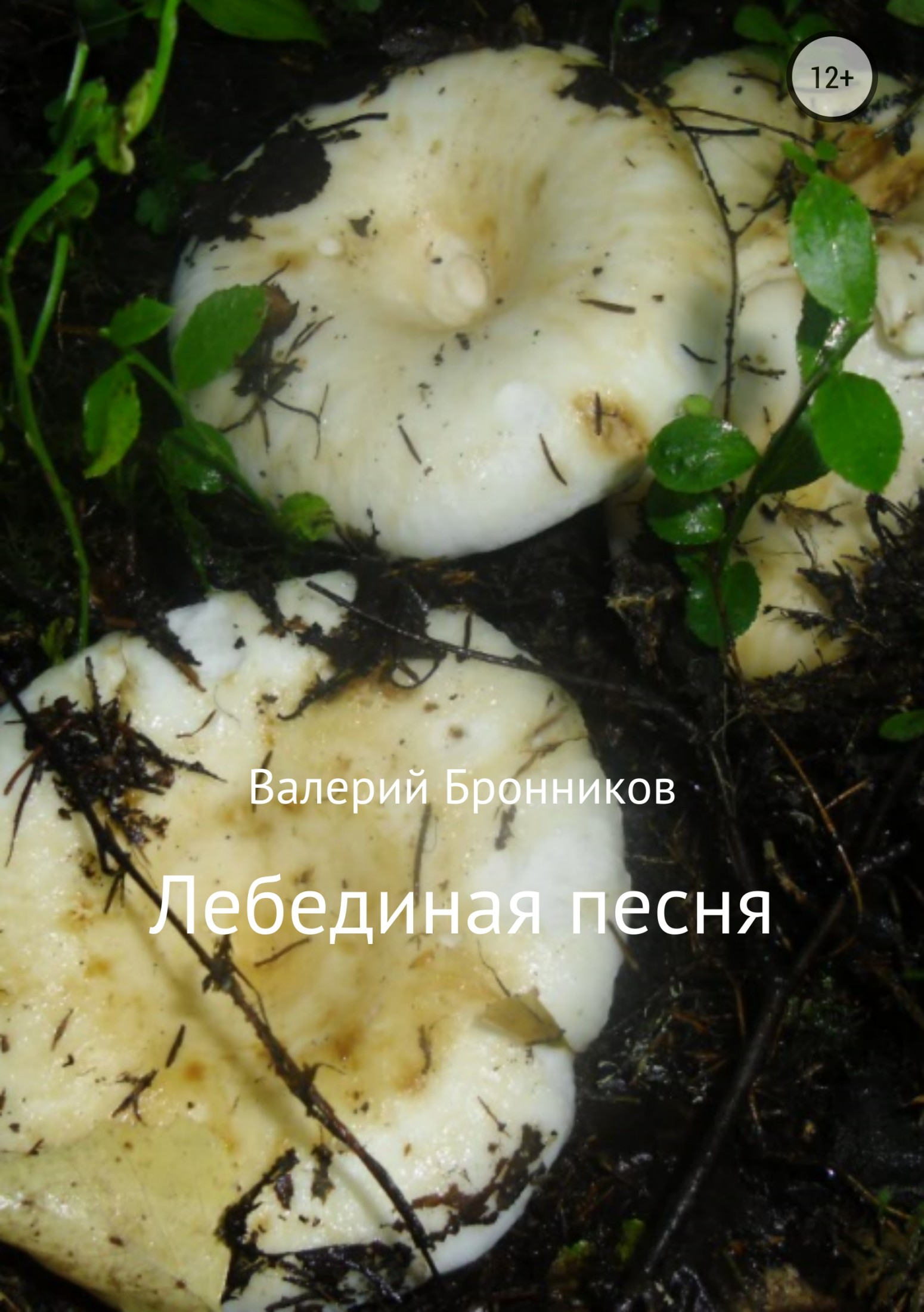читать Лебединая песня