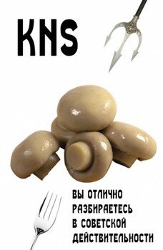 читать Вы отлично разбираетесь в советской действительности