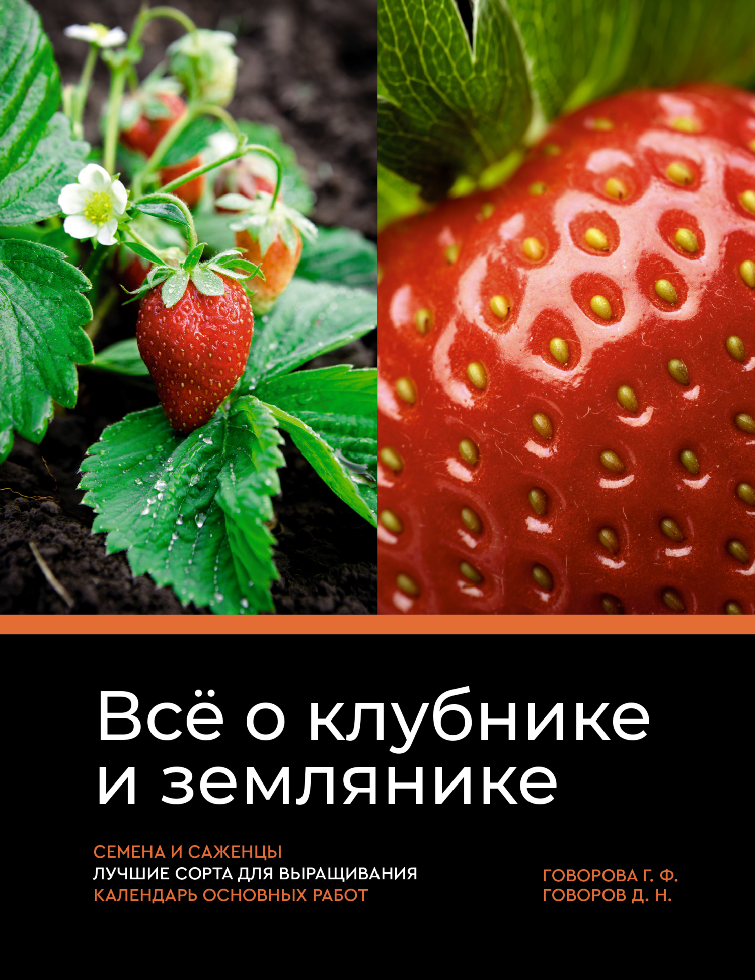 читать Всё о клубнике и землянике. Семена и саженцы. Лучшие сорта для выращивания. Календарь основных работ