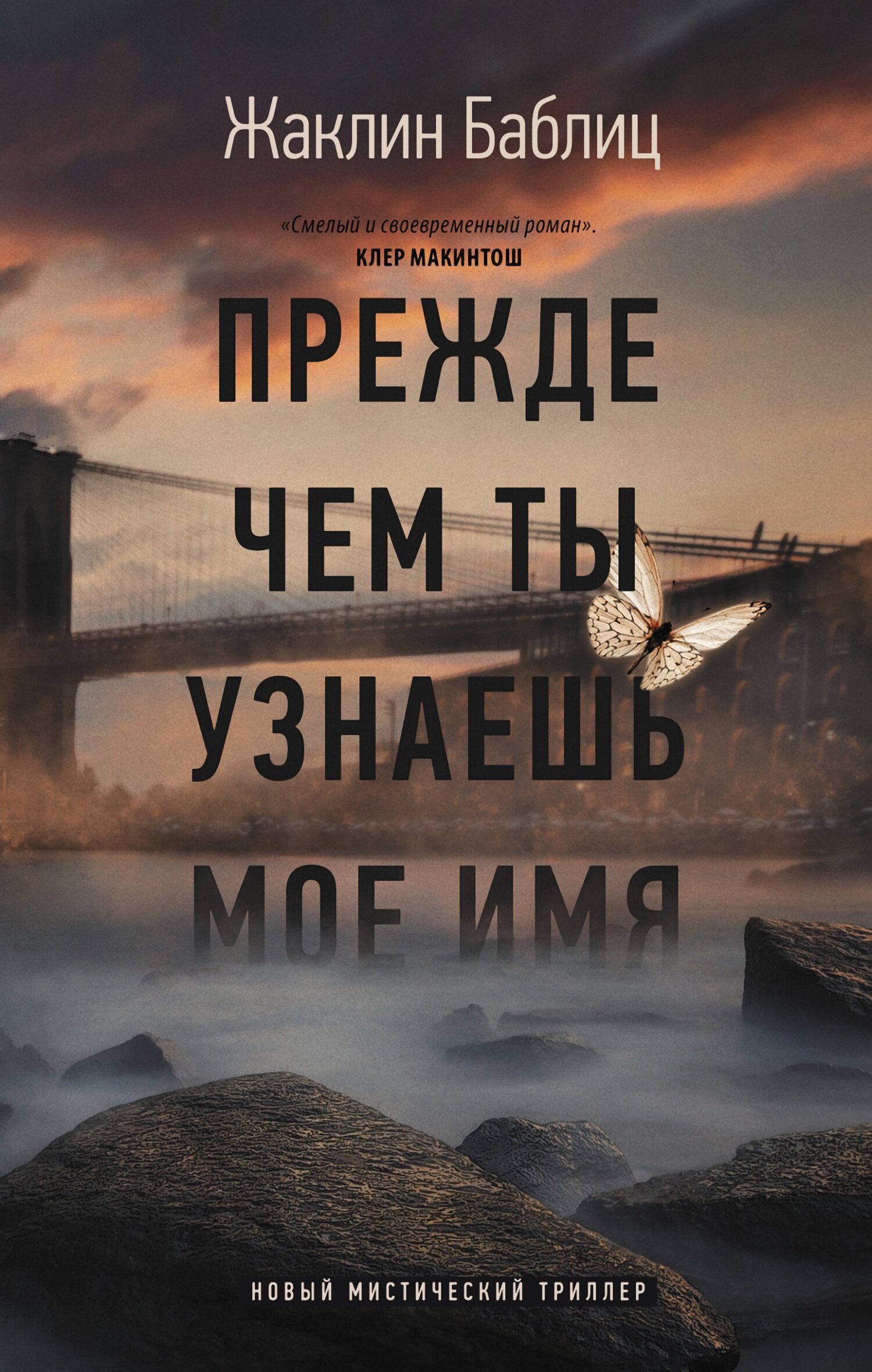 читать Прежде чем ты узнаешь мое имя