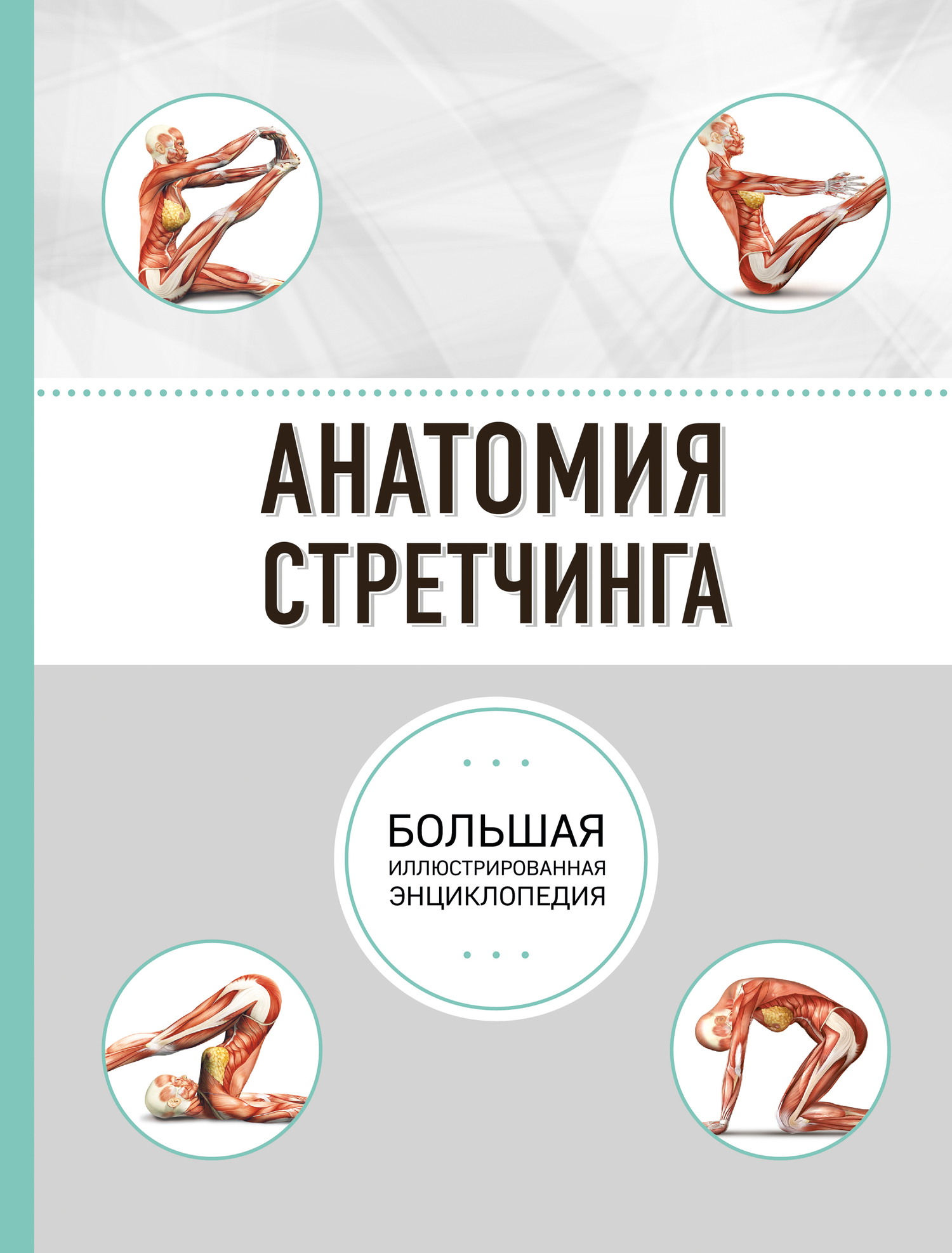 читать Анатомия стретчинга