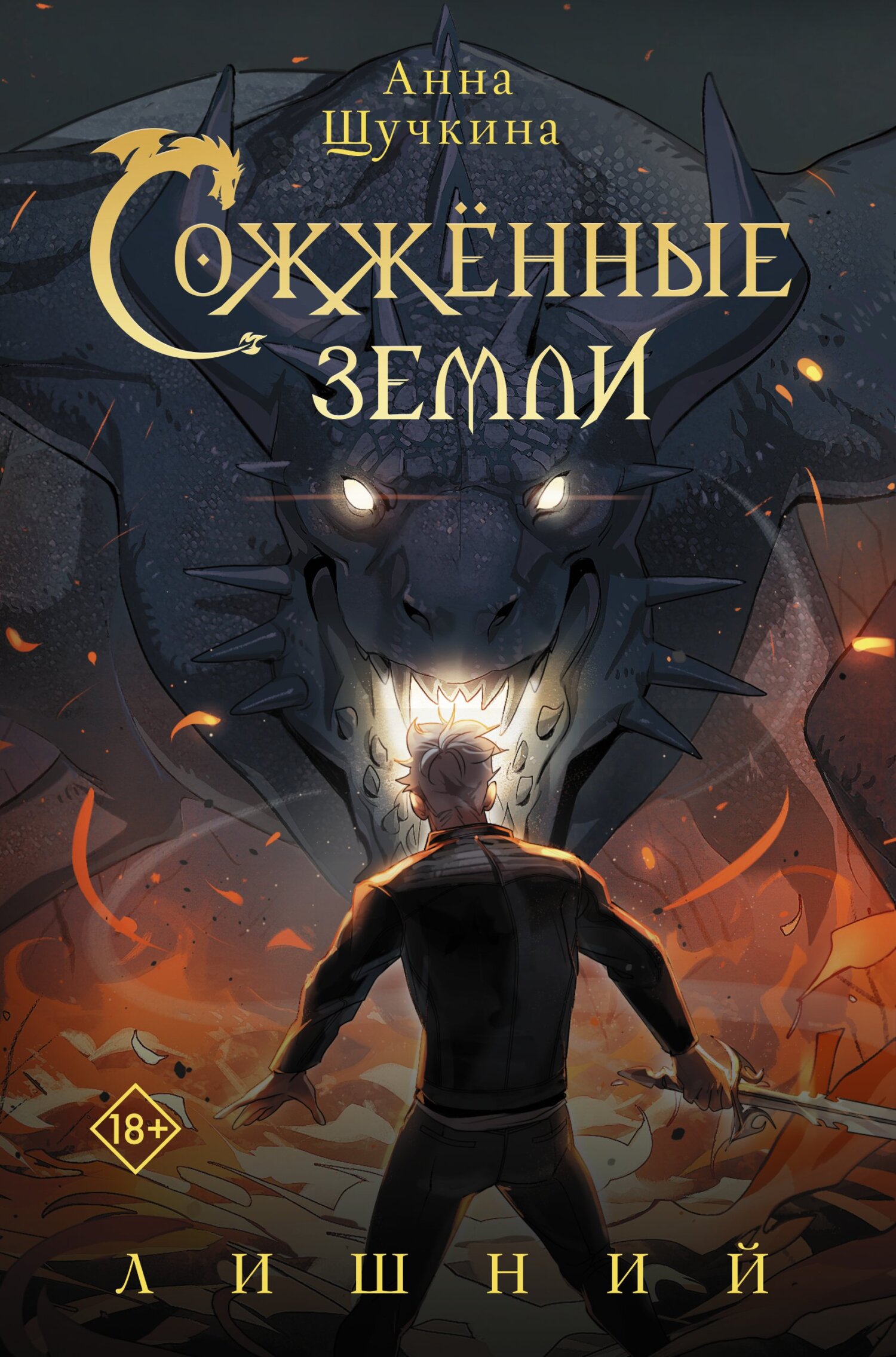 читать Сожженные земли. Лишний